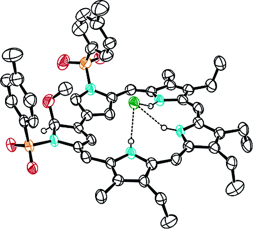 TOC image for Inverted Sapphyrin: A New Family of Doubly N-Confused Expanded Porphyrins