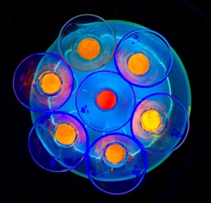 Sea flower