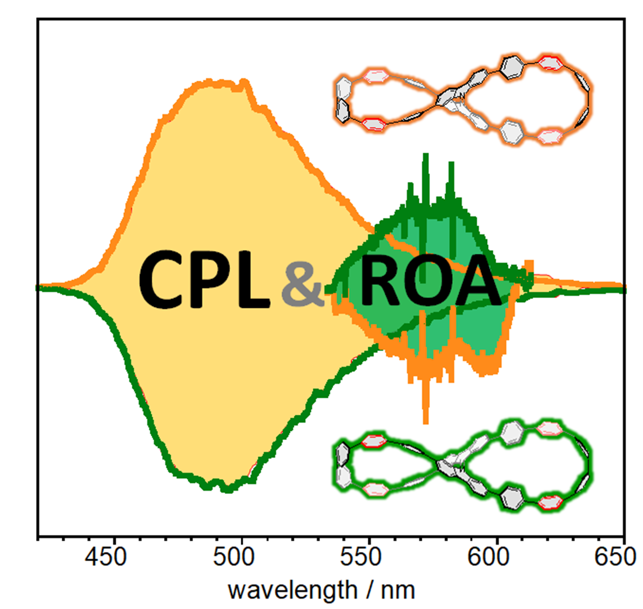TOC image for Simultaneous Detection of Circularly Polarized Luminescence and Raman Optical Activity in an Organic Molecular Lemniscate