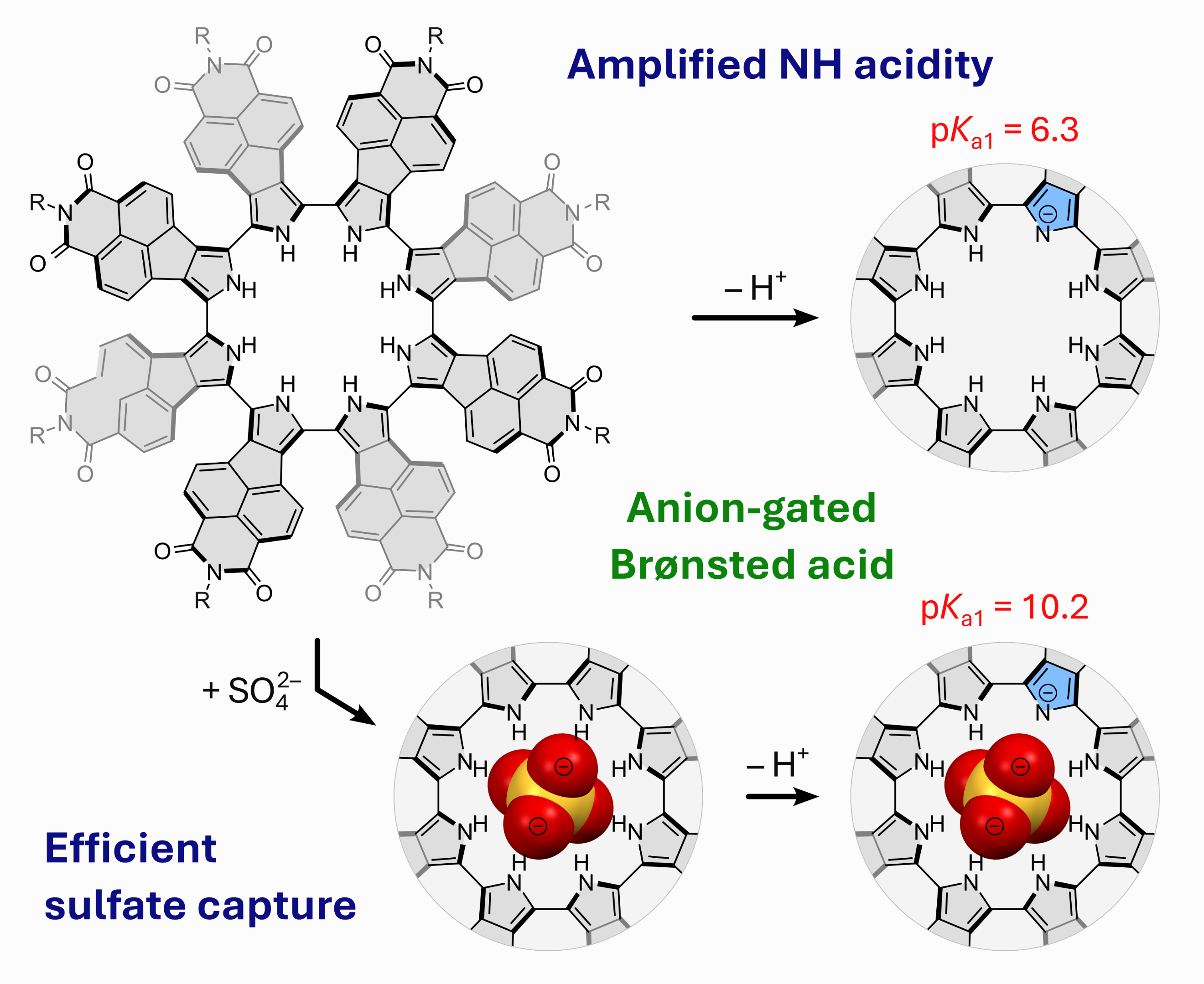 TOC graphic showing a naphthalimide-fused cyclo[8]pyrrole whose acidity is attenuated by sulfate binding.