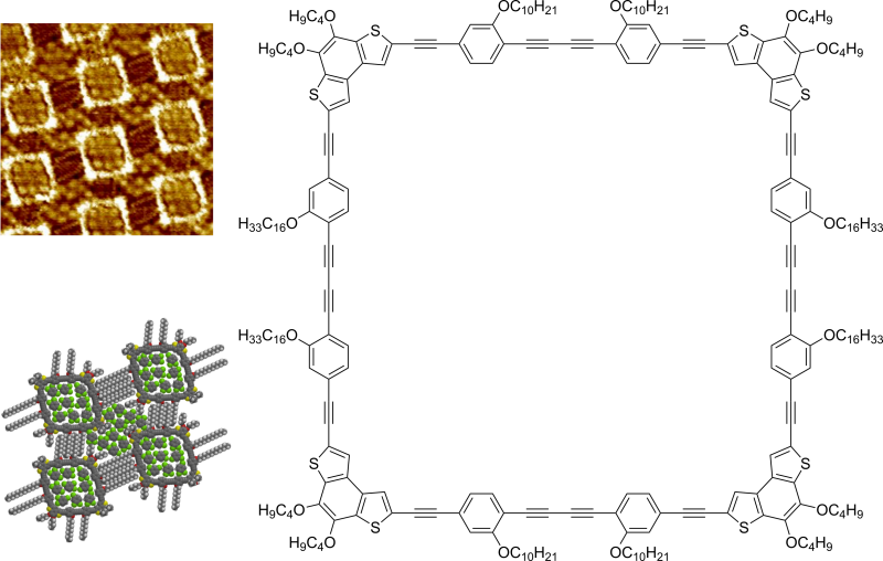 TOC image for Nanopatterns of arylene–alkynylene squares on graphite: self-sorting and intercalation