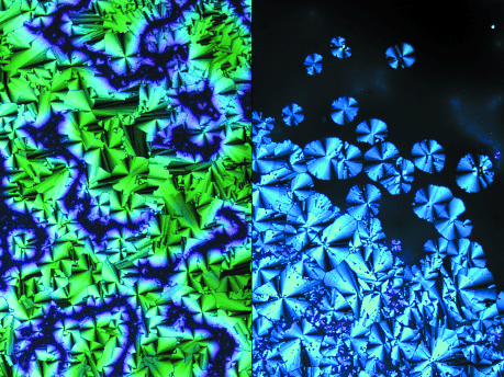 TOC image for Discotic Liquid-Crystalline Materials Based on Porphycenes: A Mesogenic Metalloporphycene–Tetracyanoquinodimethane (TCNQ) Adduct