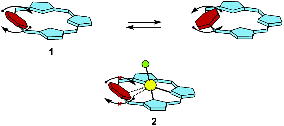 TOC image for Tetraphenyl-p-benziporphyrin: A Carbaporphyrinoid with Two Linked Carbon Atoms in the Coordination Core