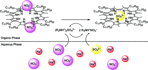 TOC image for Octamethyl-octaundecylcyclo[8]pyrrole: A Promising Sulfate Anion Extractant