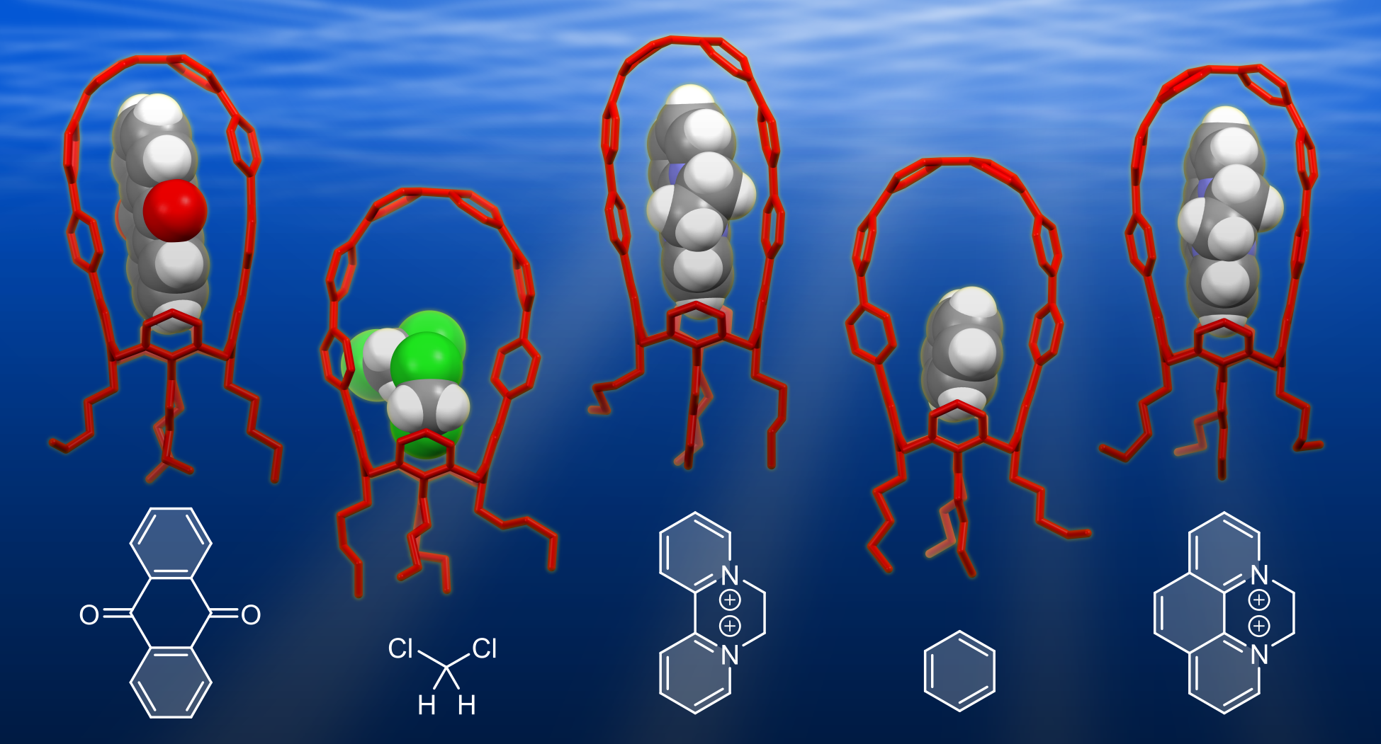 TOC image for Feeding a Molecular Squid: A Pliable Nanocarbon Receptor for Electron-Poor Aromatics